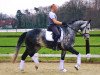 dressage horse Dynamo 22 (Hanoverian, 2012, from Don Index)