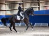 dressage horse FBW Sunfire (Württemberger, 2009, from San Amour I)