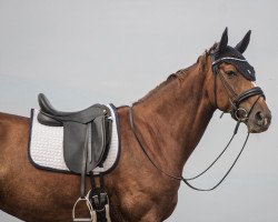 dressage horse Lady Lou 134 (Westphalian, 2012, from Lord Carnaby)