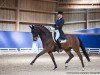 dressage horse Frederic S (Oldenburg, 2004, from Fürstenreich)