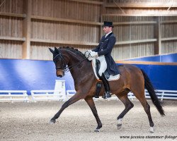 dressage horse Frederic S (Oldenburg, 2004, from Fürstenreich)