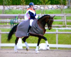 dressage horse Cypria F (Hanoverian, 2003, from Contendro I)