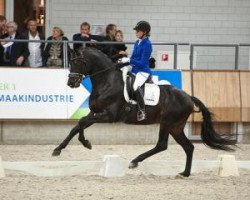 stallion For Gribaldi (KWPN (Royal Dutch Sporthorse), 2010, from Gribaldi)