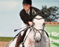 jumper Cantana 26 (Hanoverian, 2011, from Canterbury)