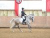 dressage horse Nika Finesse (Polish Warmblood, 2011, from Koleś)