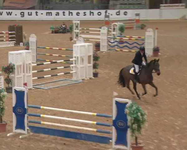 Reitturnier Kreuth 2018