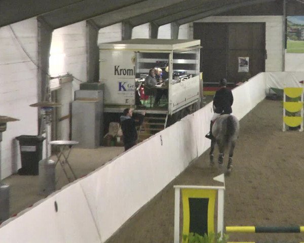 Reitturnier Viernheim 2018
