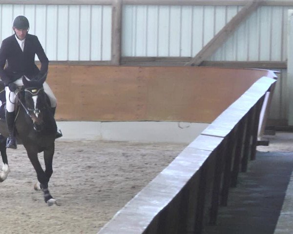 Reitturnier Viernheim 2018