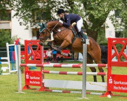 jumper Carinija (Hanoverian, 2010, from Cevin Costner)