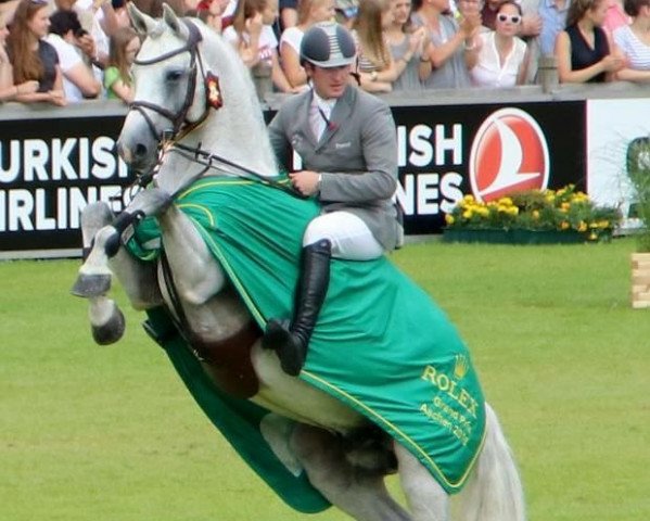 stallion L B Convall (Holsteiner, 2007, from Colman)
