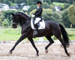 dressage horse Raise your Voice (Rhinelander, 2004, from Ruisador)