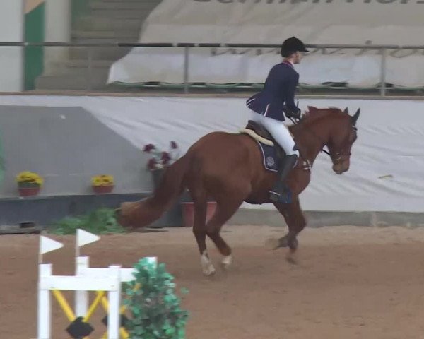 Reitturnier Kreuth 2018