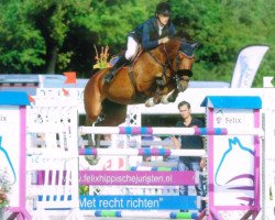 Zuchtstute Zilvana Verte (KWPN (Niederländisches Warmblut), 2004, von Ticalluc Verte)