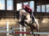 jumper Leonardo R 2 (Hessian Warmblood, 2007, from Lacantus)