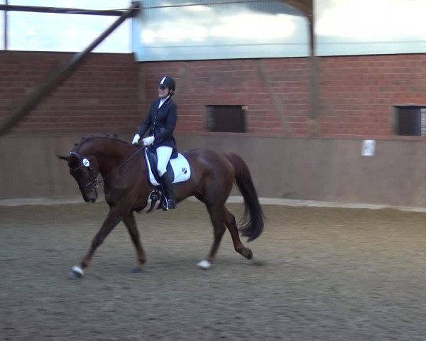 Reitturnier Lembeck 2018