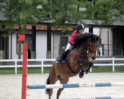 jumper Olaf K (New Forest Pony, 2006, from Woodrow Carisbrooke)