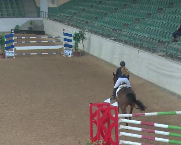 Reitturnier Kreuth 2018