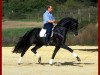 stallion Rosenkoenig (Oldenburg, 1996, from Rubinstein I)