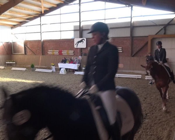 Reitturnier Lembeck 2018