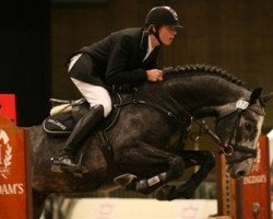 Pferd Bøgegaardens Chico (Dänisches Warmblut, 2003, von Carano)