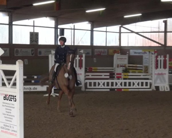 Reitturnier Lembeck 2018
