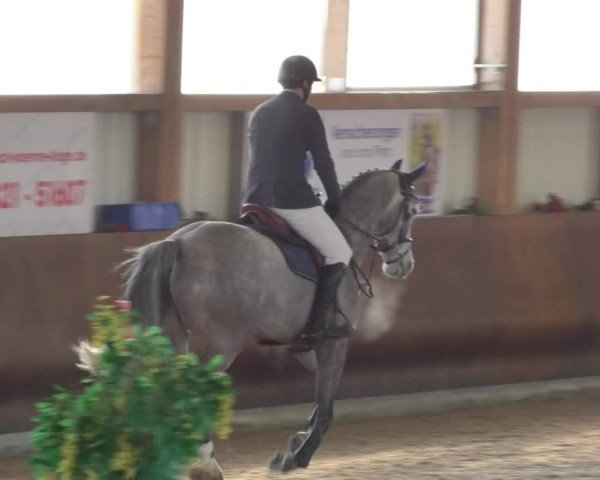 Reitturnier Dettingen 2018