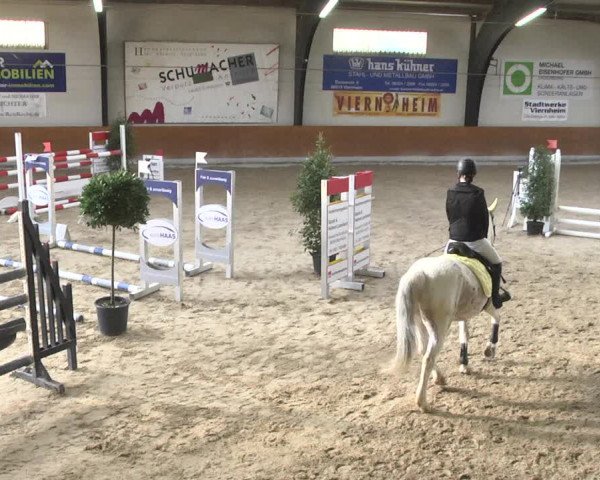 Reitturnier Viernheim 2018