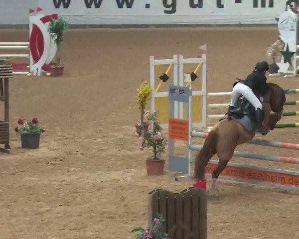 Reitturnier Kreuth 2018