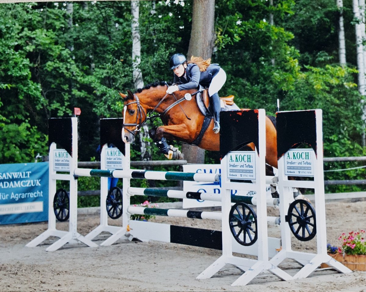dressage horse Dance On Fire (German Riding Pony, 2010, from Dance On Top)