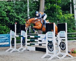 dressage horse Dance On Fire (German Riding Pony, 2010, from Dance On Top)