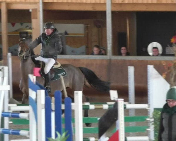 Reitturnier Dettingen 2018