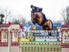 jumper Domino van de Valhoeve (KWPN (Royal Dutch Sporthorse), 2008, from Lord Z)