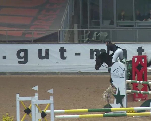Reitturnier Kreuth 2018