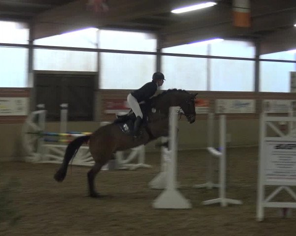 Reitturnier Lembeck 2018