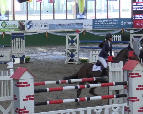 Reitturnier Keppeln  - Reitanlage "Hötzenhof" 2018