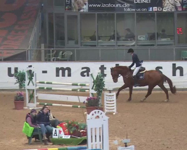 Reitturnier Kreuth 2018