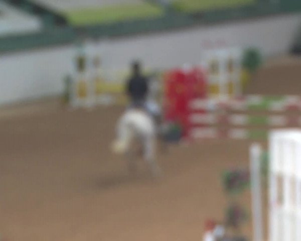 Reitturnier Kreuth 2018