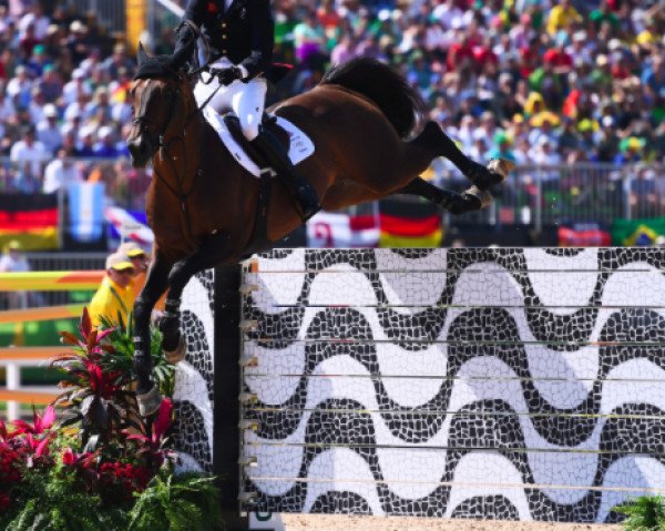 Springpferd Tic Tac (Belgium Sporthorse, 2003, von Clinton)