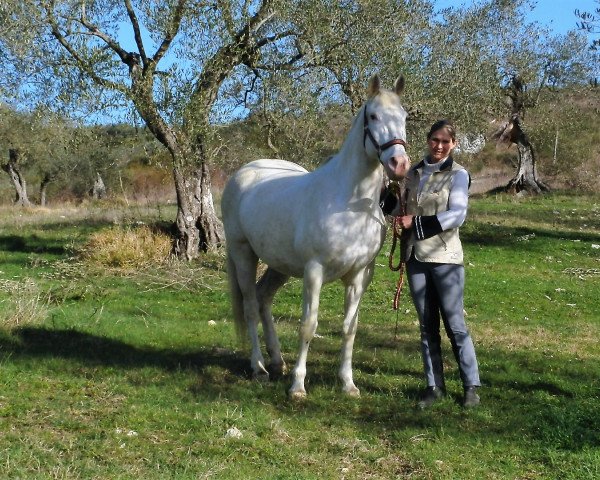 Zuchtstute Juvel af Midgaard (Knabstrupper, 2002, von Hother af Midgaard)