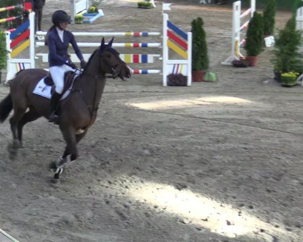Reitturnier Keppeln  - Reitanlage "Hötzenhof" 2018