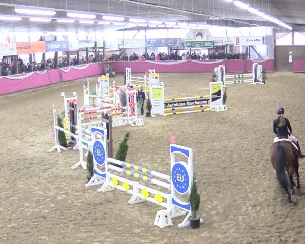 Reitturnier Vlotho-Exter 2018