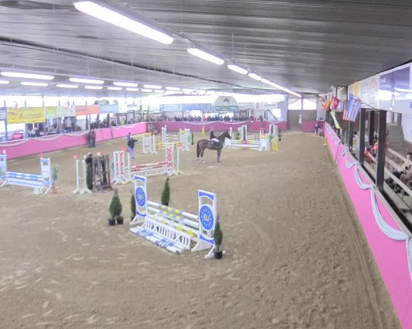 Reitturnier Vlotho-Exter 2018