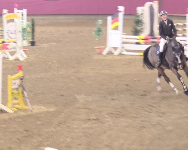 Reitturnier Vlotho-Exter 2018