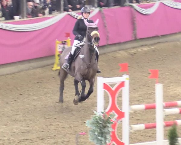Reitturnier Vlotho-Exter 2018