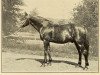 stallion Kremlin 13327 (US) (American Trotter, 1887, from Lord Russell 4677 (US))