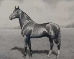 stallion Allerton 5128 (US) (American Trotter, 1886, from Jay Bird 5060 (US))