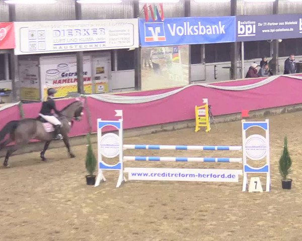 Reitturnier Vlotho-Exter 2018