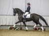 dressage horse Friedemann 10 (Westphalian, 2015, from Fürsten-Look)