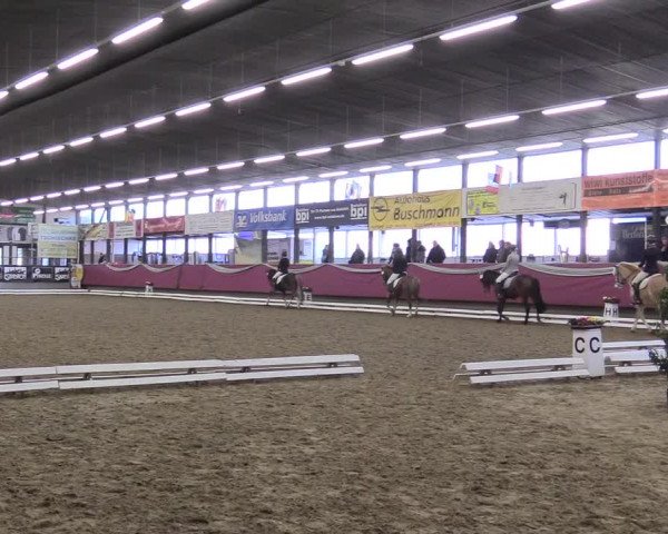 Reitturnier Vlotho-Exter 2018
