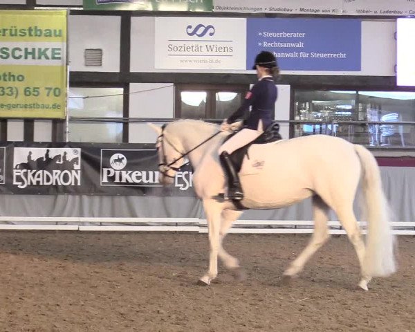 Reitturnier Vlotho-Exter 2018